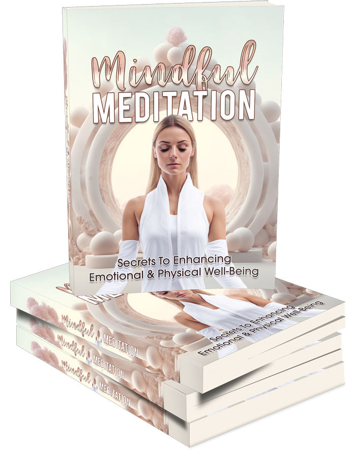 Cover of 'Mindful Meditation: Foundations for Success,' showcasing the starting point for achieving wellness and success through meditation.